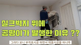 실크벽지 위에 곰팡이가 발생한 이유 ??