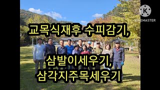 교목식재외 3가지(조경기능사 실기 작업형20기)