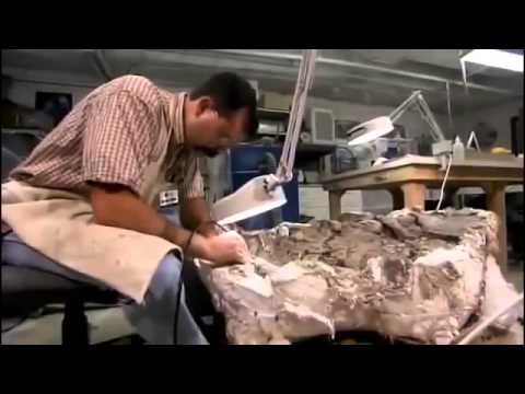 Finding Dinosaurs Discovery Documentary Films Full Hd History 2014
