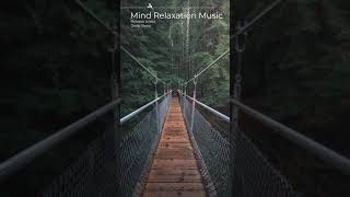 Mind Relaxation Music | Deep Sleep | meditation