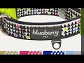 dog collars by blueberry pet top 10 most popular