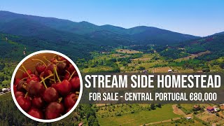 STREAM SIDE HOMESTEAD FOR SALE - €80,000 - CENTRAL PORTUGAL REAL ESTATE & OUR CHERRY HARVEST