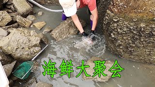 打窝7天的500平鲨鱼坑，收获品种多样的海鲜大聚会，啥品种都有