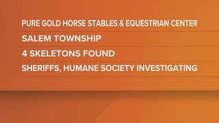 Columbiana County Sheriff: 4 horse skeletons found at Pure Gold Horse Stable in Salem