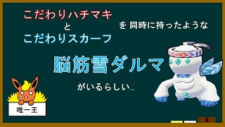 【ポケモン解説】少しわかる「脳筋雪ダルマ」講座【厨ポケ】