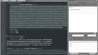 cssList notepad++ plugin with Base64 viewer