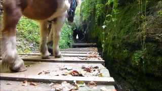 Mit Pony durch die Drachenschlucht