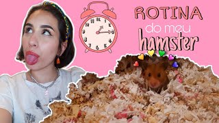 Rotina do meu hamster! | HAMSTERS #9