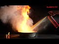 Dry Powder Portable Fire Extinguisher Spray-FlameFighter