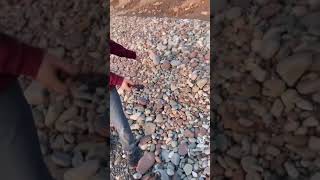 Looking for Yooperlite rocks at Lake Ontario. At Sterling Nature Center New York.