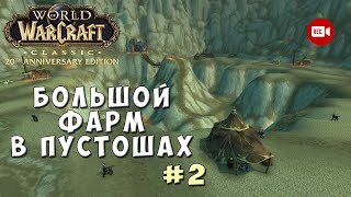 Большой фарм в Пустошах #2 - WoW Classic Anniversary Edition