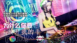 孙晓磊 - 为什么你要放开我的手「DJ REMIX 伤感舞曲 🎵」超劲爆 ⚠