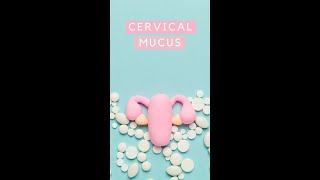 What your Cervical Mucus can tell you about being Fertile