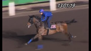 香港 賽馬 R3 選一匹上場贏馬水準極高嘅馬作膽