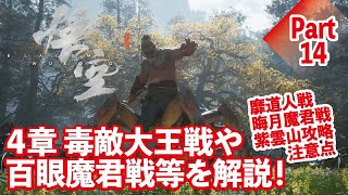 【黒神話:悟空】４章の毒敵大王戦や百眼魔君戦を解説！Part１４