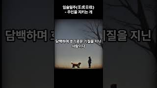 임술일주(壬戌日柱) - 주인을 지키는 개