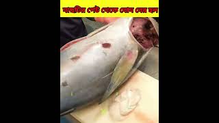 মাছটির পেট থেকে বোম বের হল 😱 Shocking fish #facts #shorts #viral