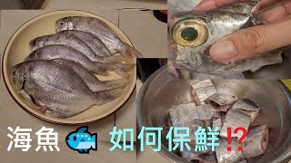 海魚🐟 如何保鮮⁉️