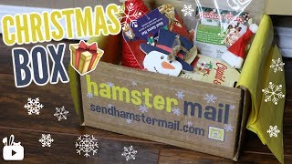 HAMSTER MAIL CHRISTMAS BOX! 🎄🐹