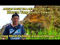 jangan kaget bila melihat video ini, khusus dewasa