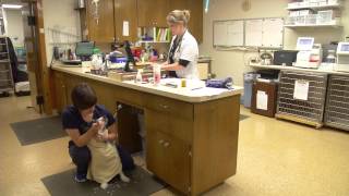 Midland Animal Clinic in Midland, MI Video Tour