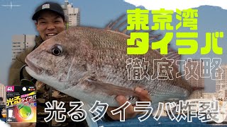 大都会の浅ーい所で電池入れていつものあれ付ければ間違いなし【東京湾乗っ込みタイラバ】