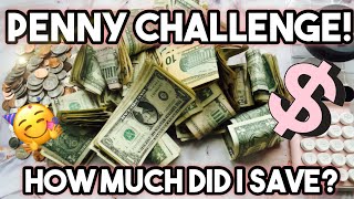 Counting the PENNY CHALLENGE! Count money with me! Completed SAVINGS CHALLENGE!