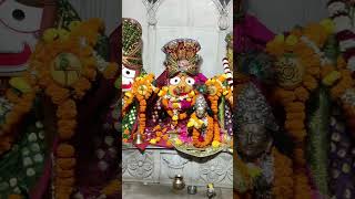 He mahabahu Jagannath Puri 🕉️ mahaprabhu 🙏🚩 darshan 🌺# viral short video ##