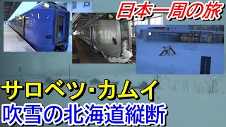 【吹雪との闘い】特急サロベツ・カムイで冬の北海道を縦断＜稚内→旭川→札幌＞【日本一周の旅２】