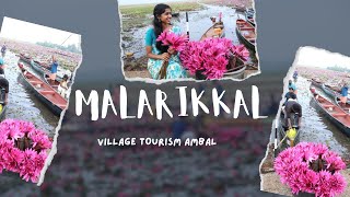 Malarickal ambel fest - thiruvarppu Kumarakom /village tourism