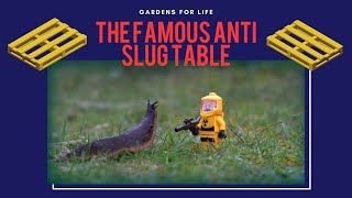 The famous Anti Slug Table