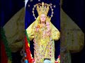 our lady of snow golden car festival thoothukudi தங்கத் தேர் திருவிழா 5 8 2023 kl green world