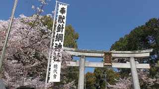 犬山祭 試楽祭 針綱神社参道入口前 駅前組車山 車切り7連発 2023年4月1日(土)