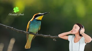 Música de piano relajante - Agua que fluye con pájaros cantando - Beautiful Souls