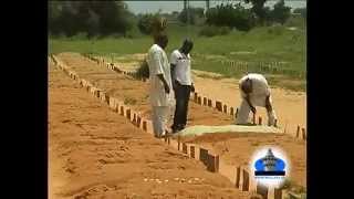 Reportage de la preparation de l'enterrement des morts à Touba