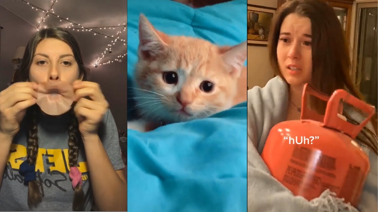 Tik Toks That Perfectly Show Gen Z Humor Daily Memes Youtube