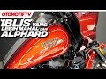 LEBIH MAHAL DARI ALPHARD, HARLEY-DAVIDSON LOW RIDER EL DIABLO | Otomotif TV