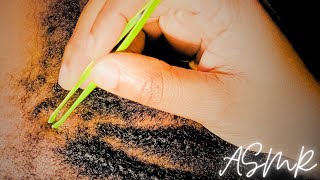 ASMR Scalp Scratching: A Hair Care Ritual