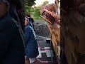 20170604 9三軒町山車修復披露