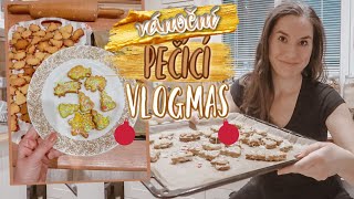 VLOGMAS | Peču cukroví, vánoční trhy v Táboře, ztracené rukavice