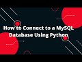 Python for Beginners #13: How to Connect to a MySQL Database Using Python! 🗄️✨