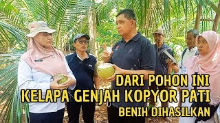 PENETAPAN PIT KOPYOR