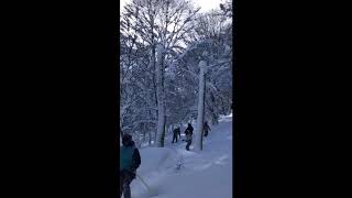 2020Feb.安比鬆雪樹林