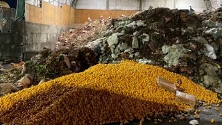 Piles of oranges at dump in B.C. draw food waste concerns