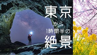 三浦半島でさくらと城ヶ島の名前も無い洞窟を目指すvlog 動画はiPhoneで撮影