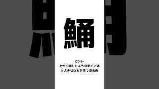 【クイズ】第2回魚へん漢字クイズだ#shorts #short #漢字