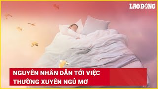 Nguyên nhân dẫn tới việc thường xuyên ngủ mơ | Báo Lao Động