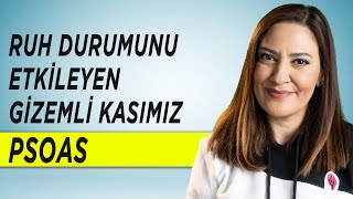 RUH DURUMUNU ETKİLEYEN KAS – Ruh Kası Psoas Nedir? Nasıl Gevşetilir? Psoas Gevşetme Teknikleri