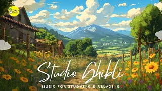 🍑【BGM】 1 Hour Relaxing Studio Ghibli Music for Studying and Sleeping 🍑