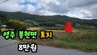 [매물번호 282번] 영주 풍기 인터체인지에서 차량으로 10분거리 평탄하고 일조량 좋은 토지|영주옥토부동산 054.631.6100